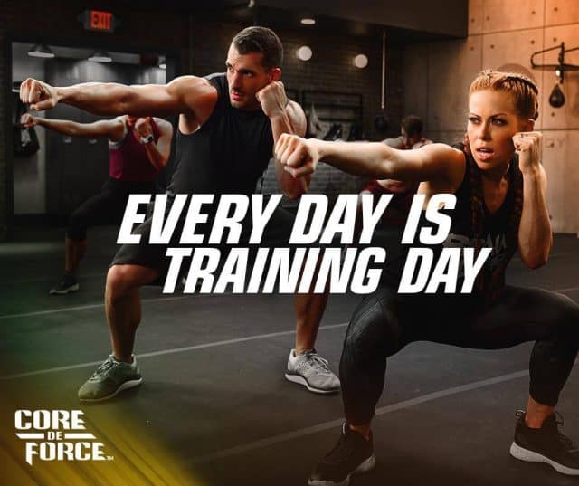 core de force review, core de force, fitness, martial arts at home fitness, mma at home,